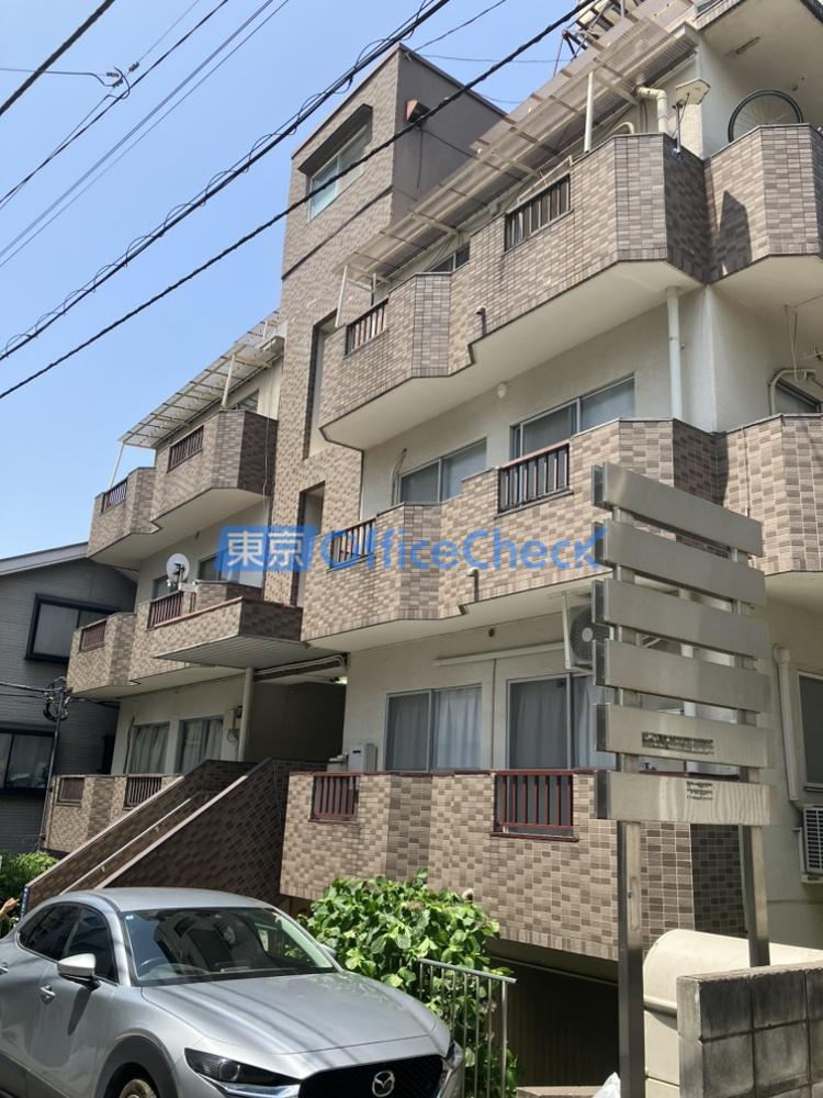 代々木チェリー