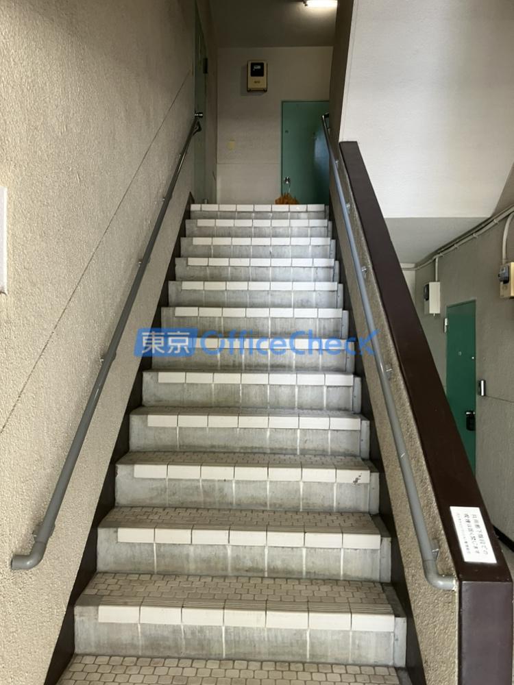 代々木チェリー