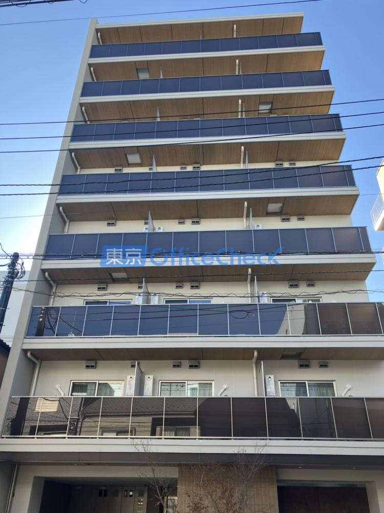 Ｄａｓｈ Ｌｉｖｉｎｇ Ｋｉｂａ