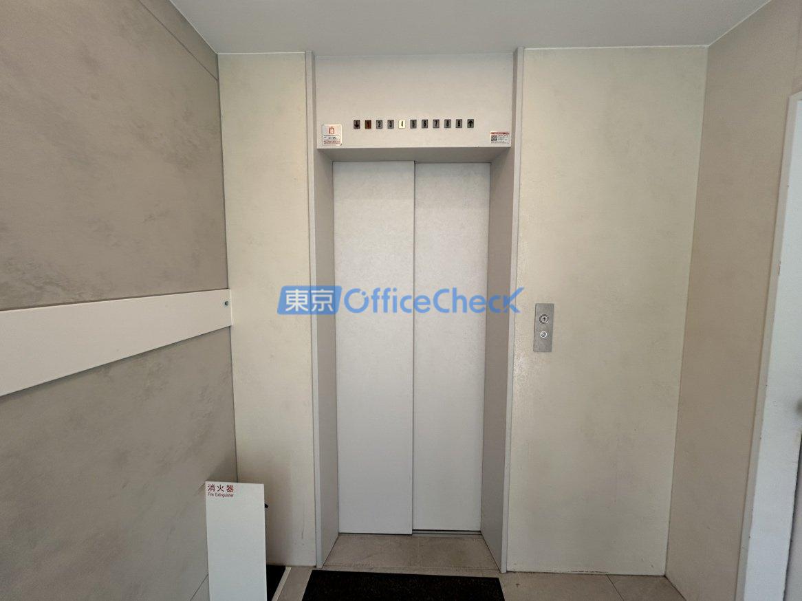 ｇｒｏｗｔｈ ｇｉｎｚａ ｅａｓｔ