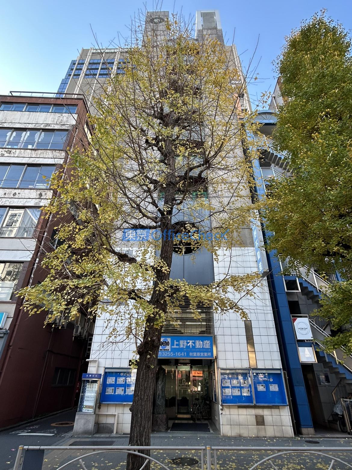 大野ビル