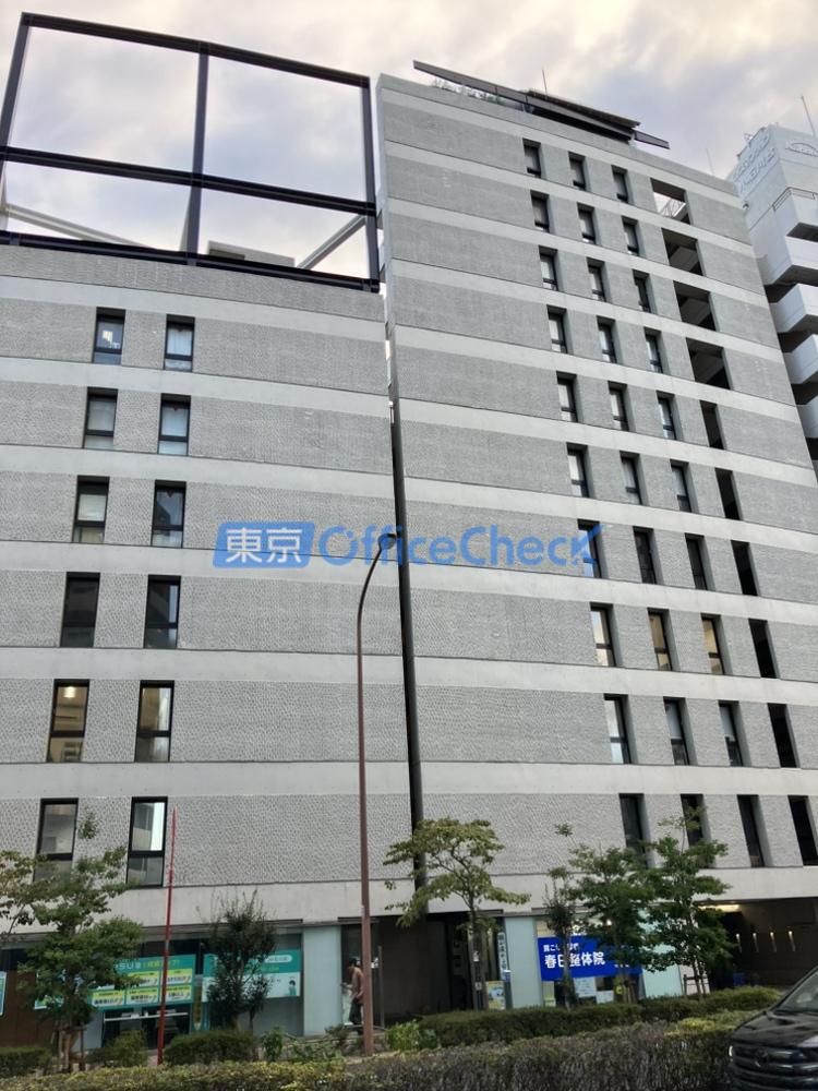 小石川ウォールズ