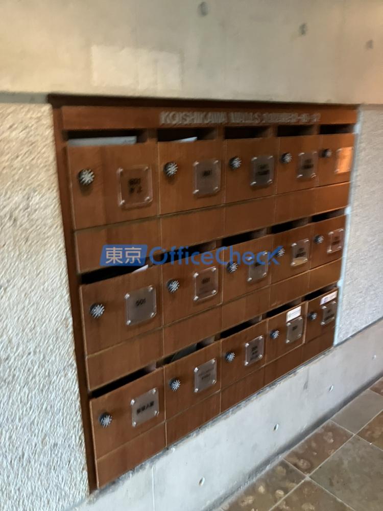 小石川ウォールズ