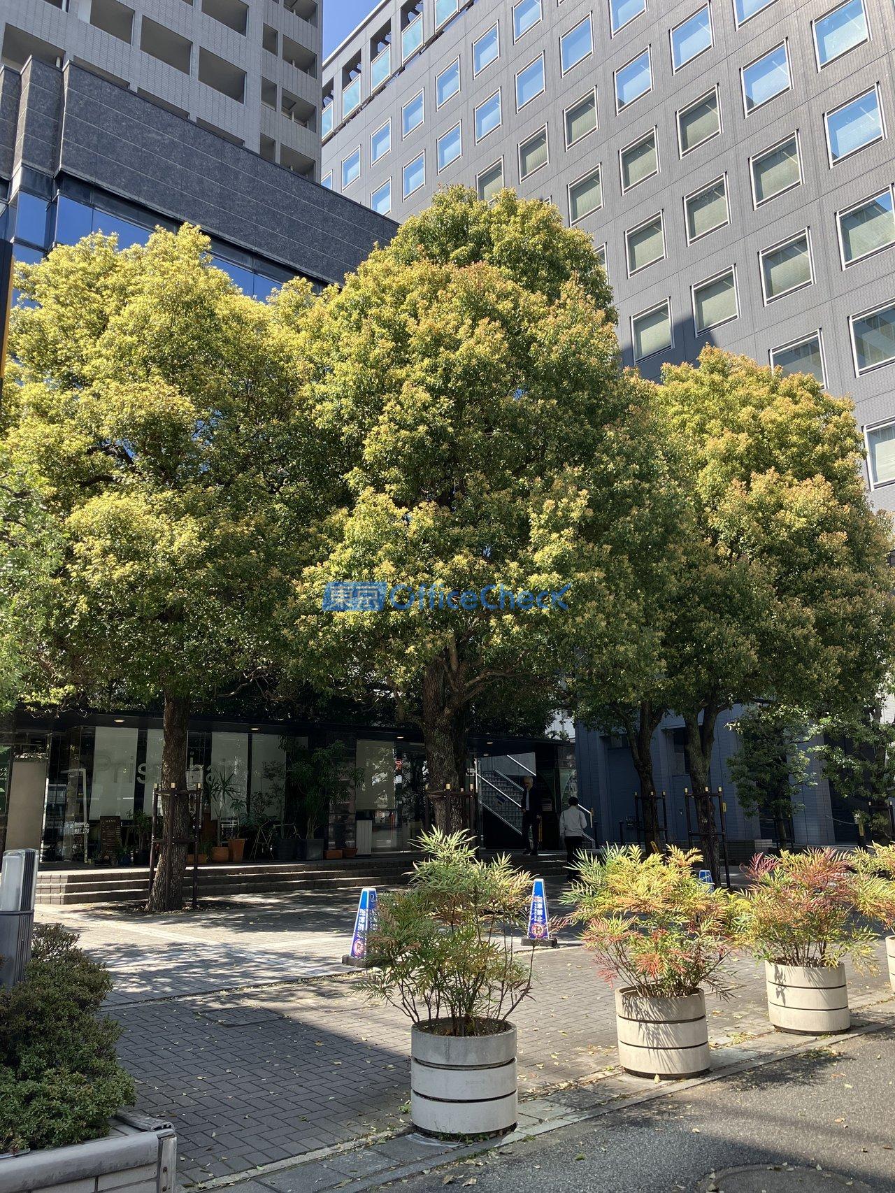 Ｓ＆Ｓビルディング