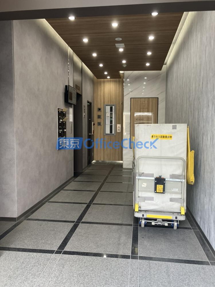 ＴＨＥ ＫＩＮＤＡＩ ２０ ＳＨＩＮＪＵＫＵ