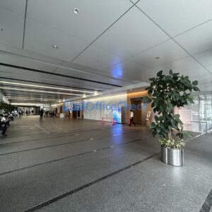 IMG_0961