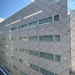 IMG_4552