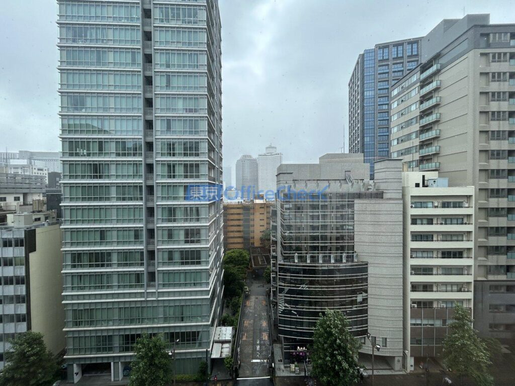 VORT麹町大通り 10階 スケルトン天井