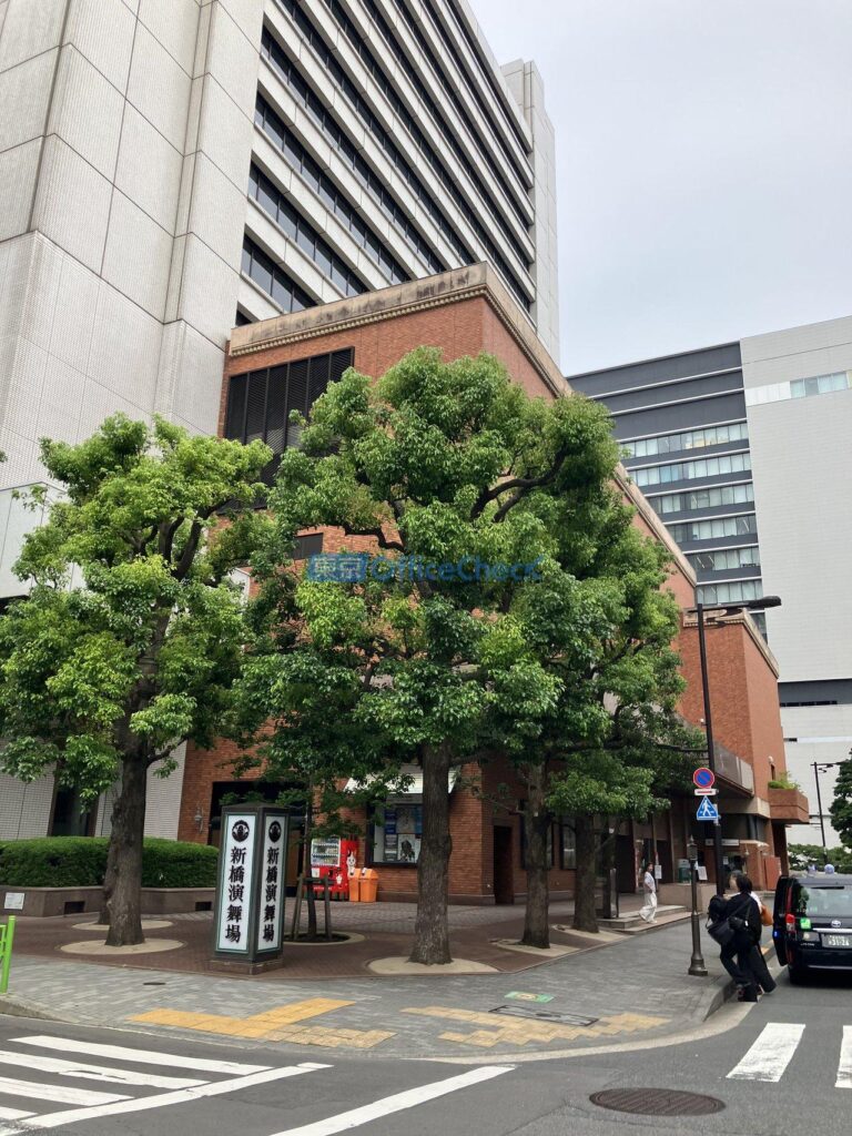野村不動産銀座ビル 14階 30