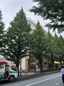 ダヴィンチ千駄ヶ谷 2階 36