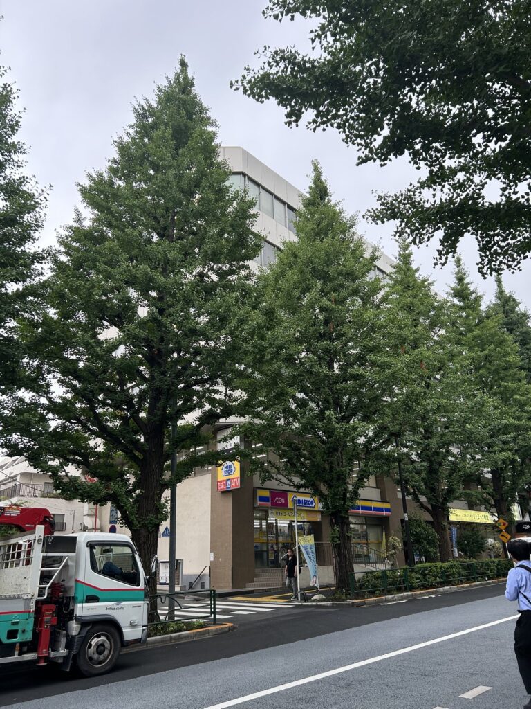 ダヴィンチ千駄ヶ谷 2階 36