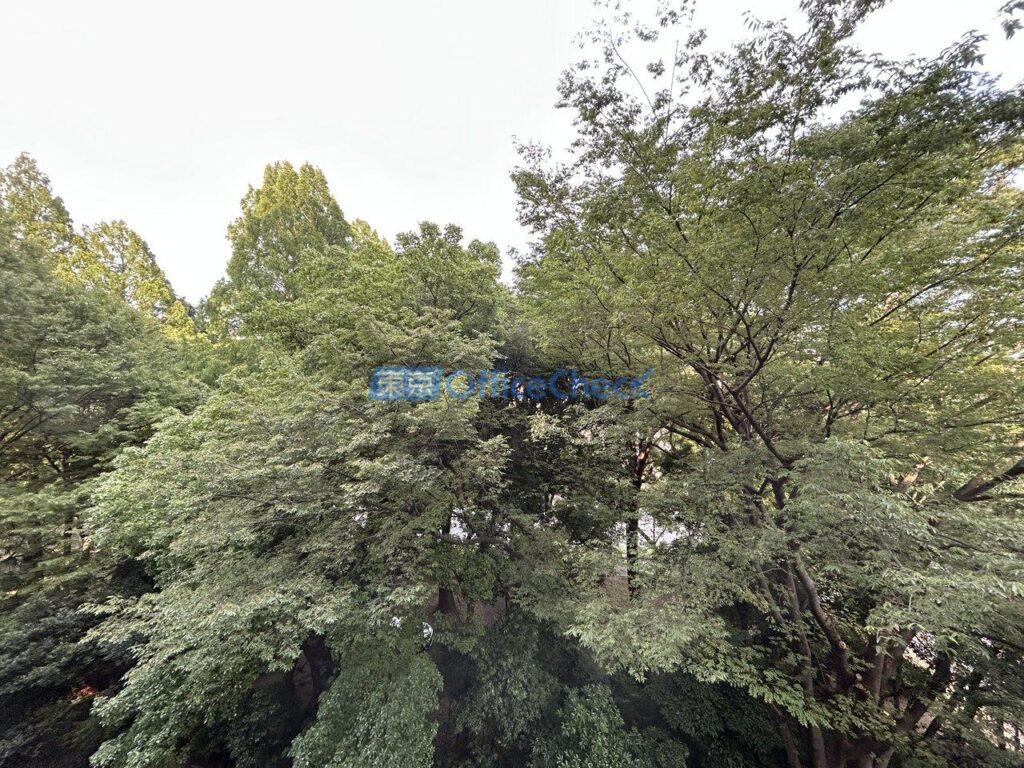 32芝公園ビル 405号室 06