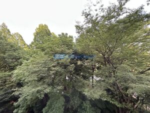 32芝公園ビル 405号室 06